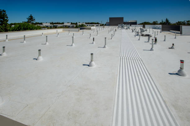 Best Solar Panel Roofing Installation  in Warsaw, NC